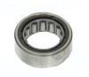 Pilot bearing for Ford 9"